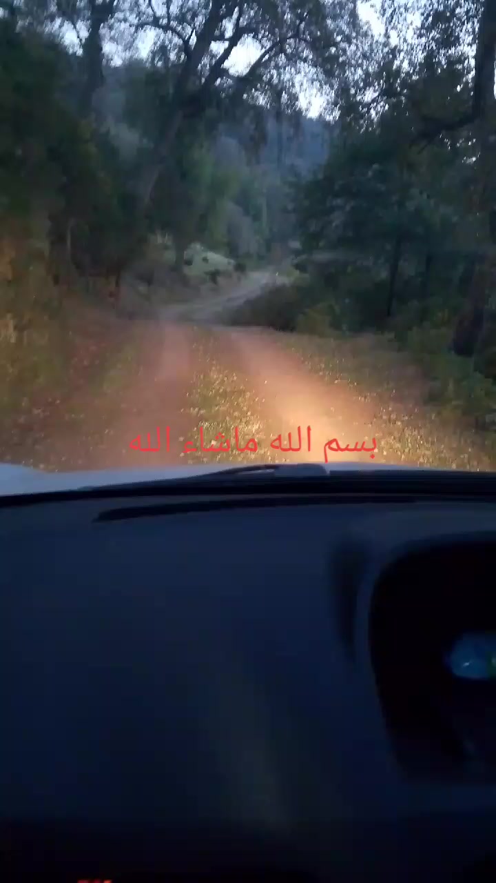 @قناة التوحيد
