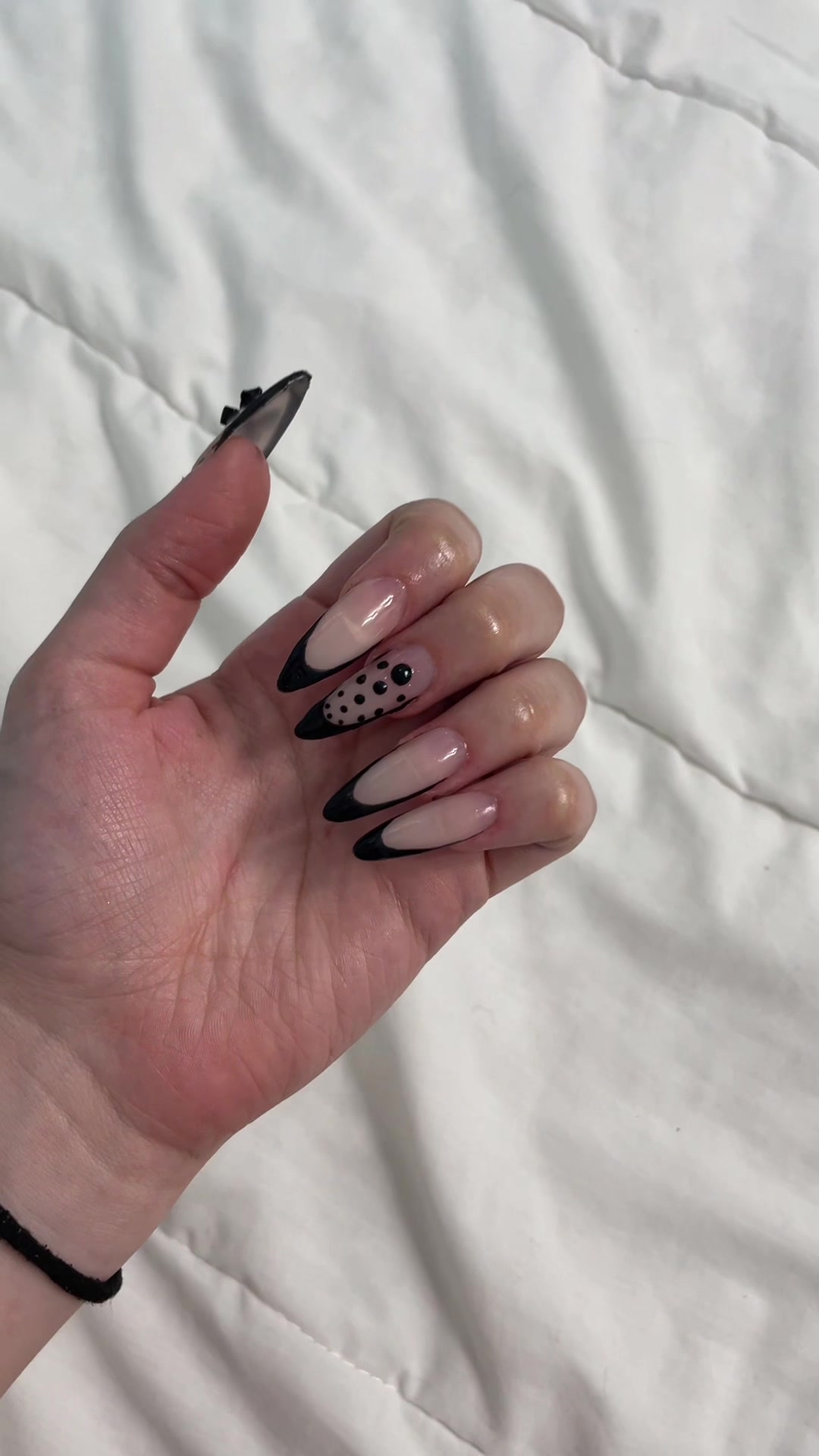 @anna 🦢