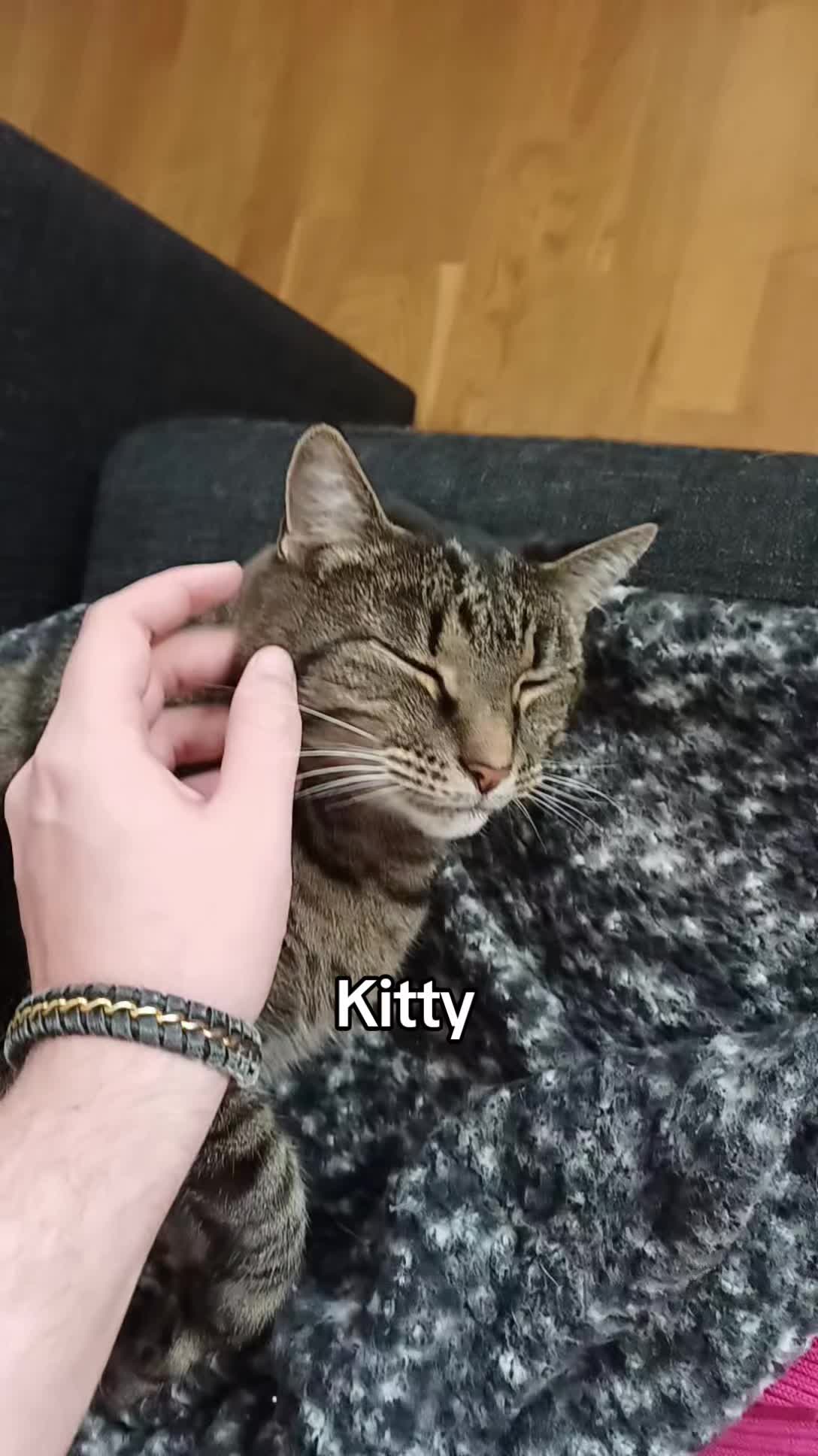 @K4ttusGG