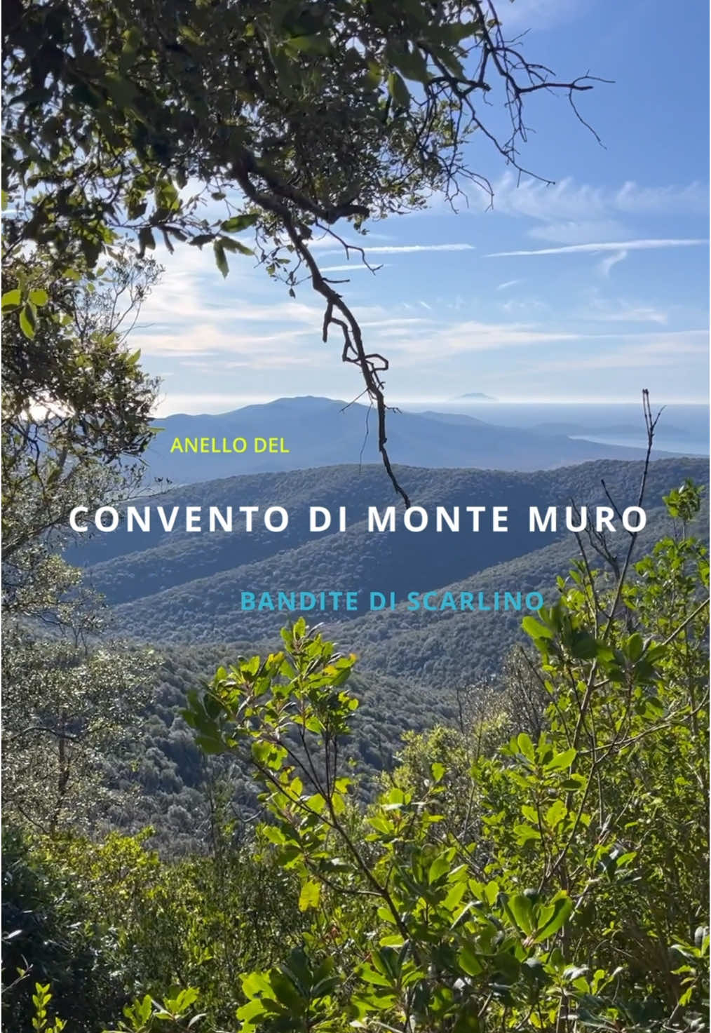 @Maremma Green Passion