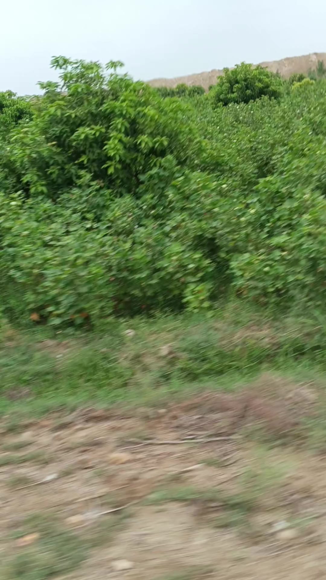 @Mukesh kumar kolhi