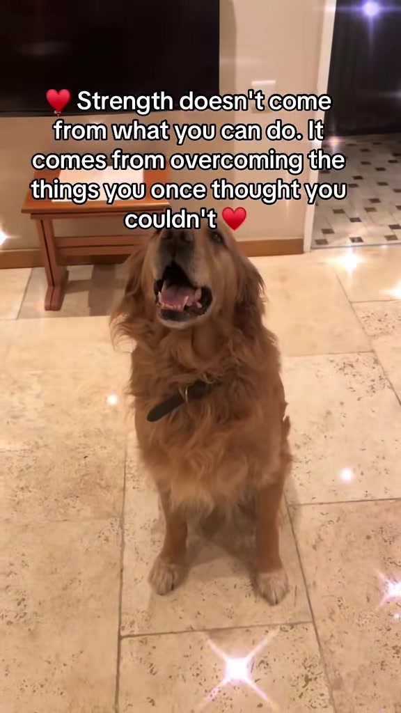 @Happy buddy