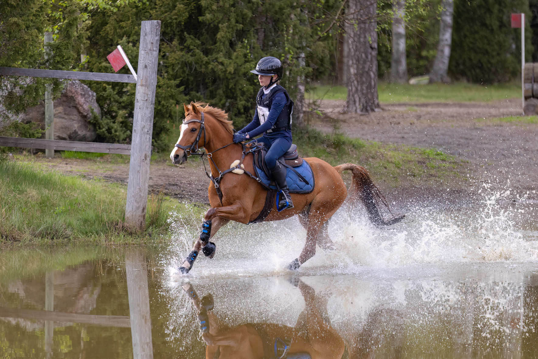 @Equestrian_tiiaa