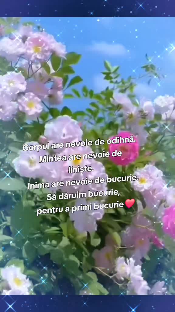 @Nelahuluba