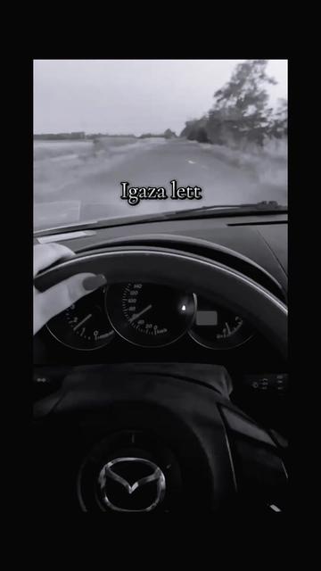 @Bogesz🖤🐼