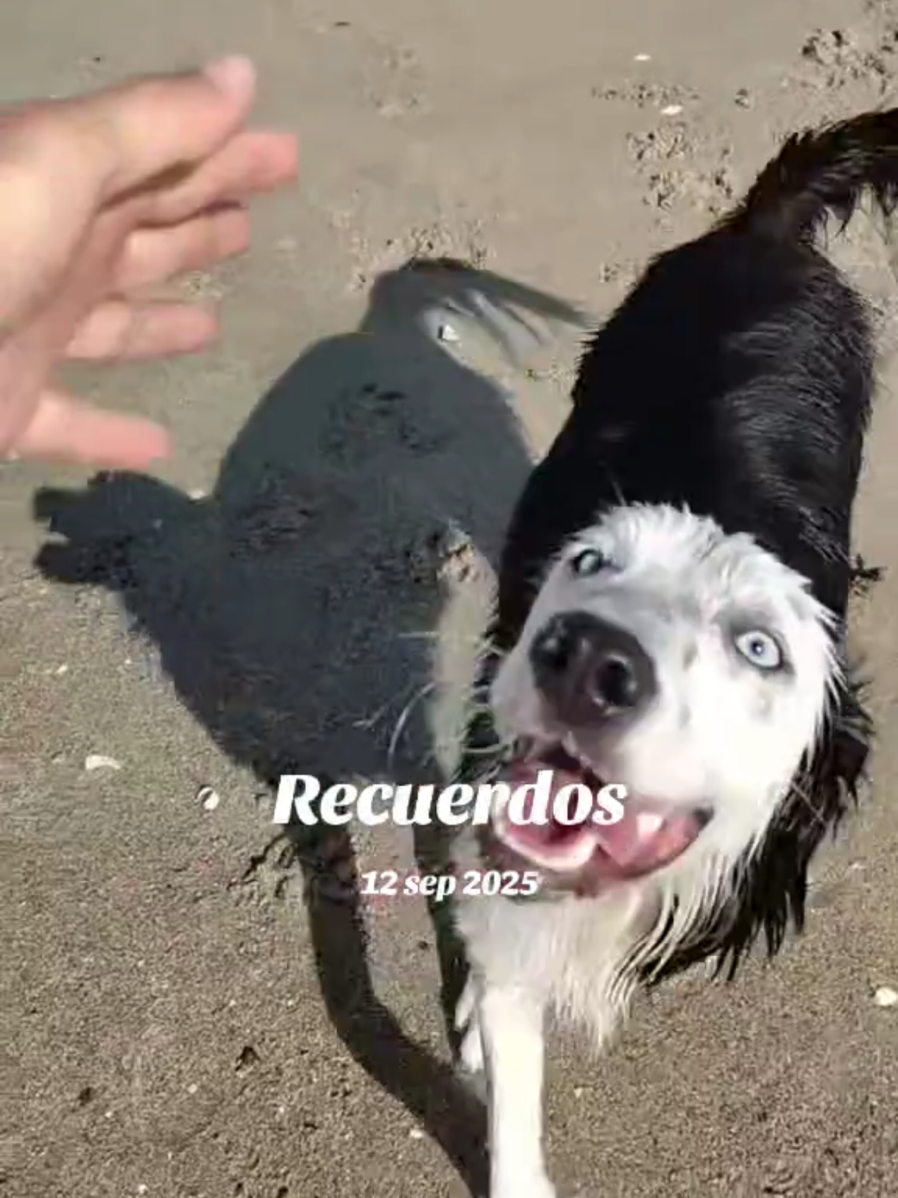 @El Vigionauta