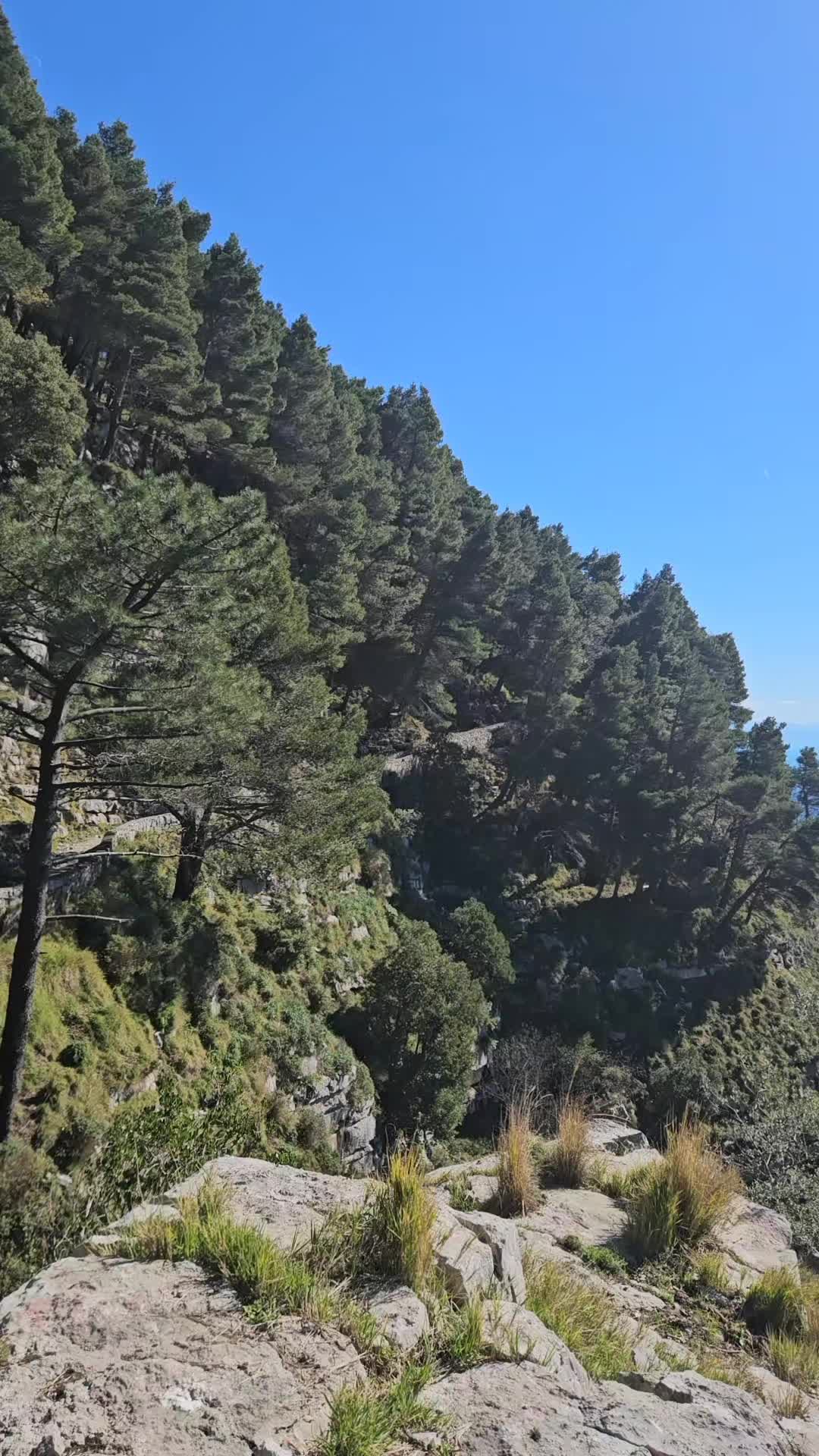 @salvatorebottone