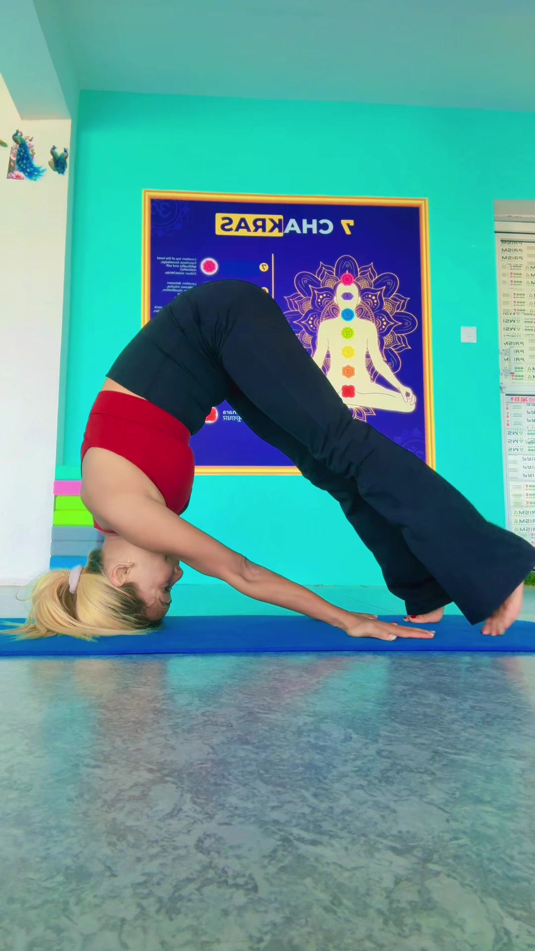 @Nitu singh yoga teacher zIn