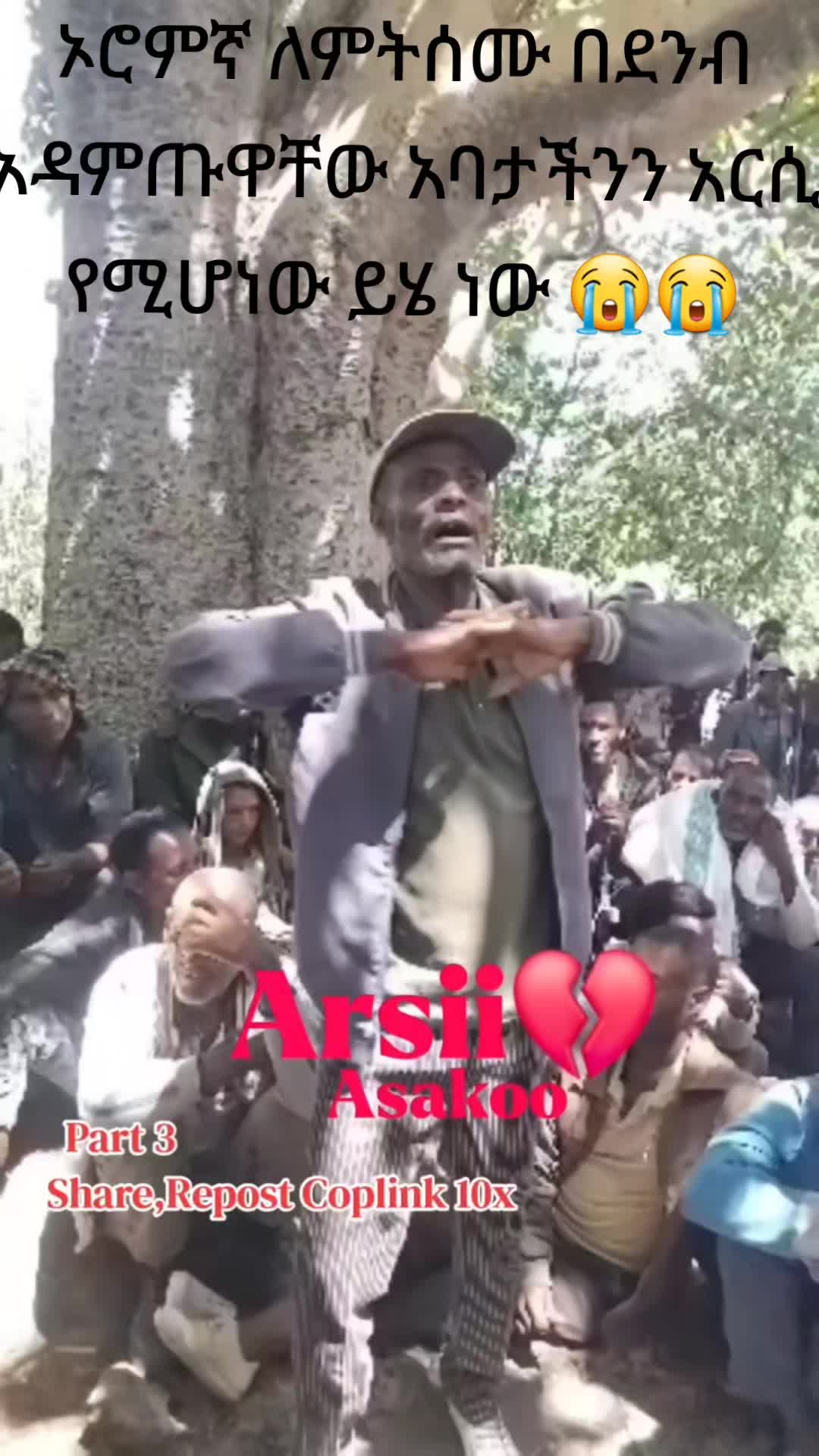 @ባለ ፎጣዋ ቤቲ 💚💛❤