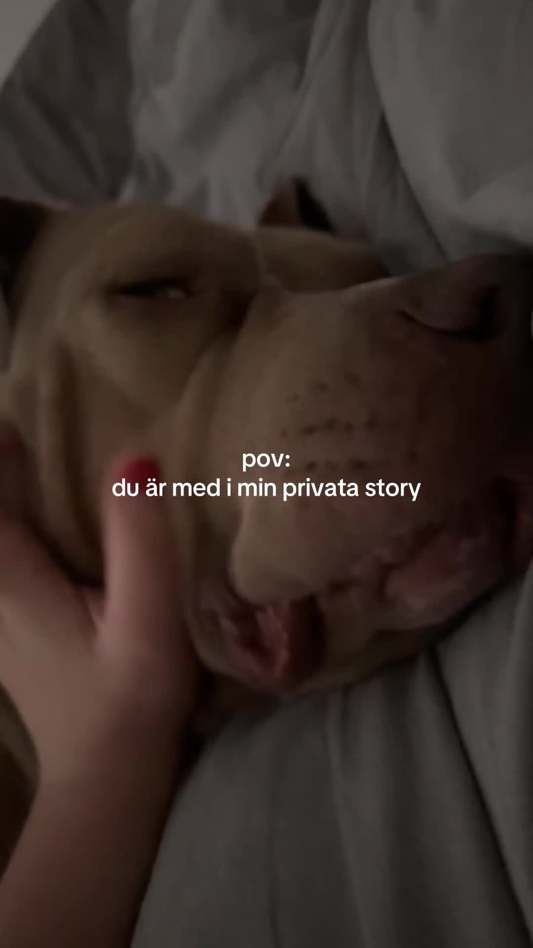 @Stella Hermansson