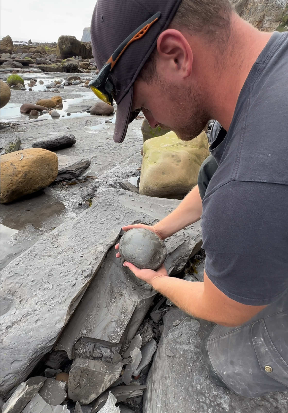 @yorkshire.fossils