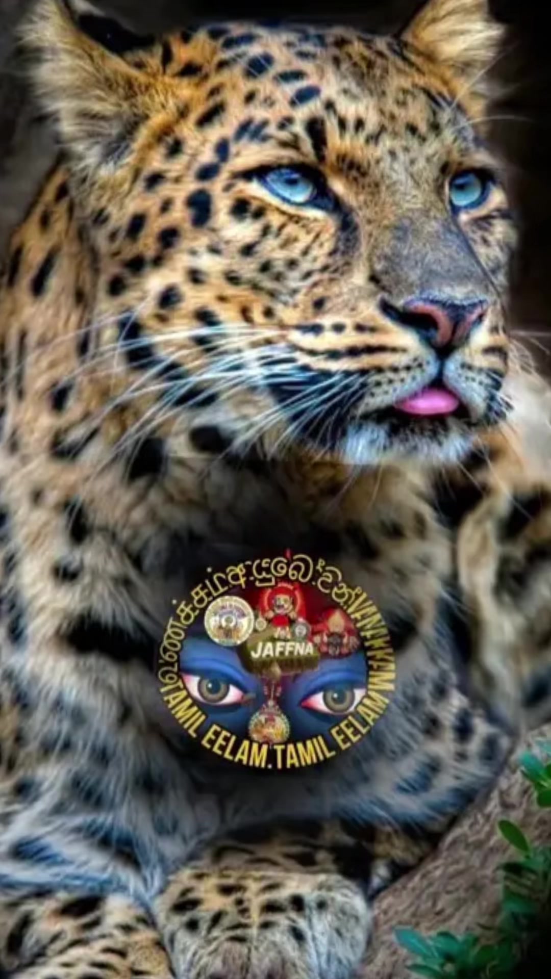 @குமார் தமிழ் Kumar Tamil