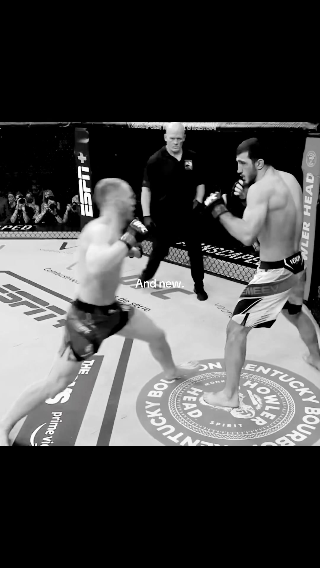 @only4fighters7