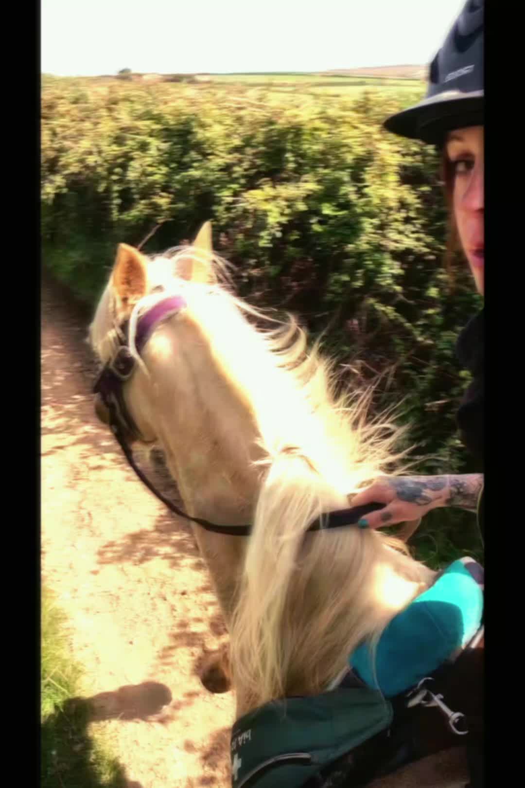 @Sinead 🐴 🖤💜🏍