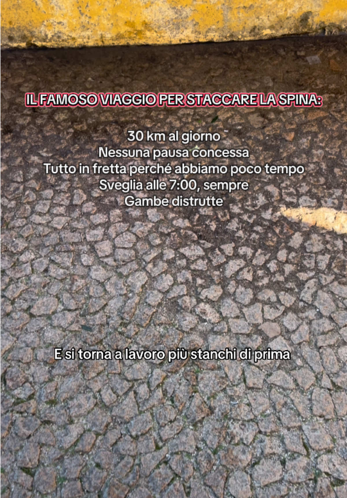 @Casa Salvosti