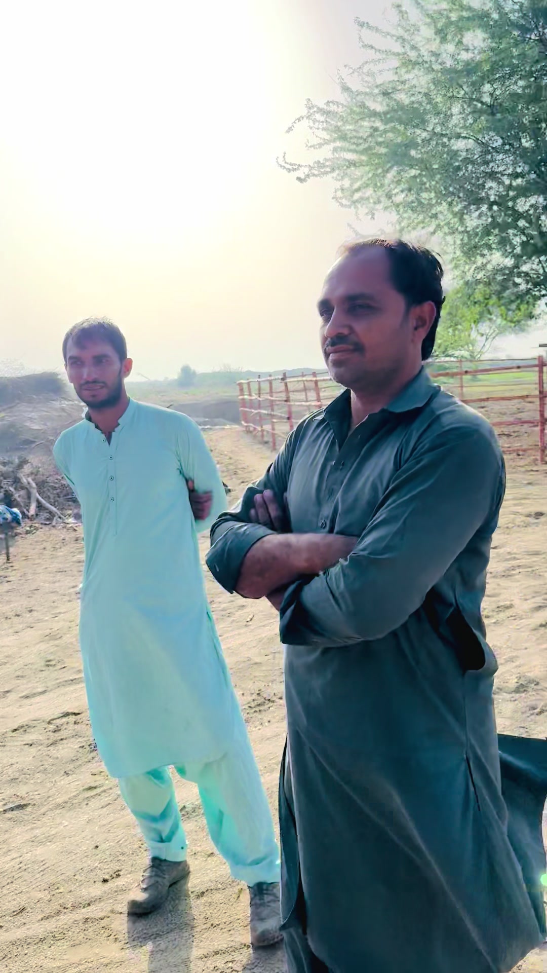 @Ayan cattle 🐄 and goat’s 🐐