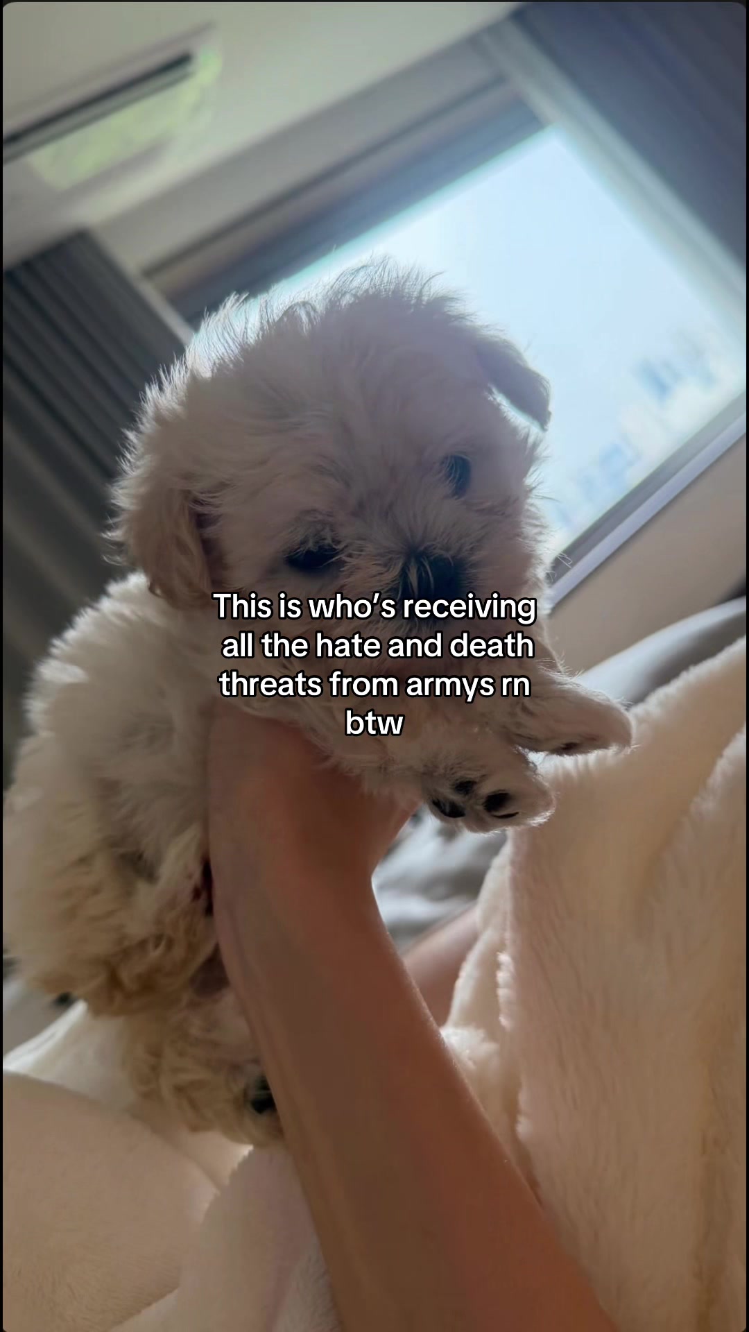 @𑣲𝐳𝐨𝐞𝐲🐶