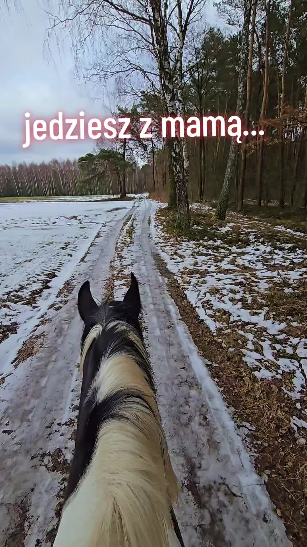 @kasiap2765421