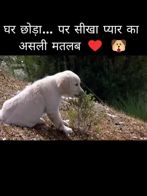 @samuel.jeremy.6b3.20