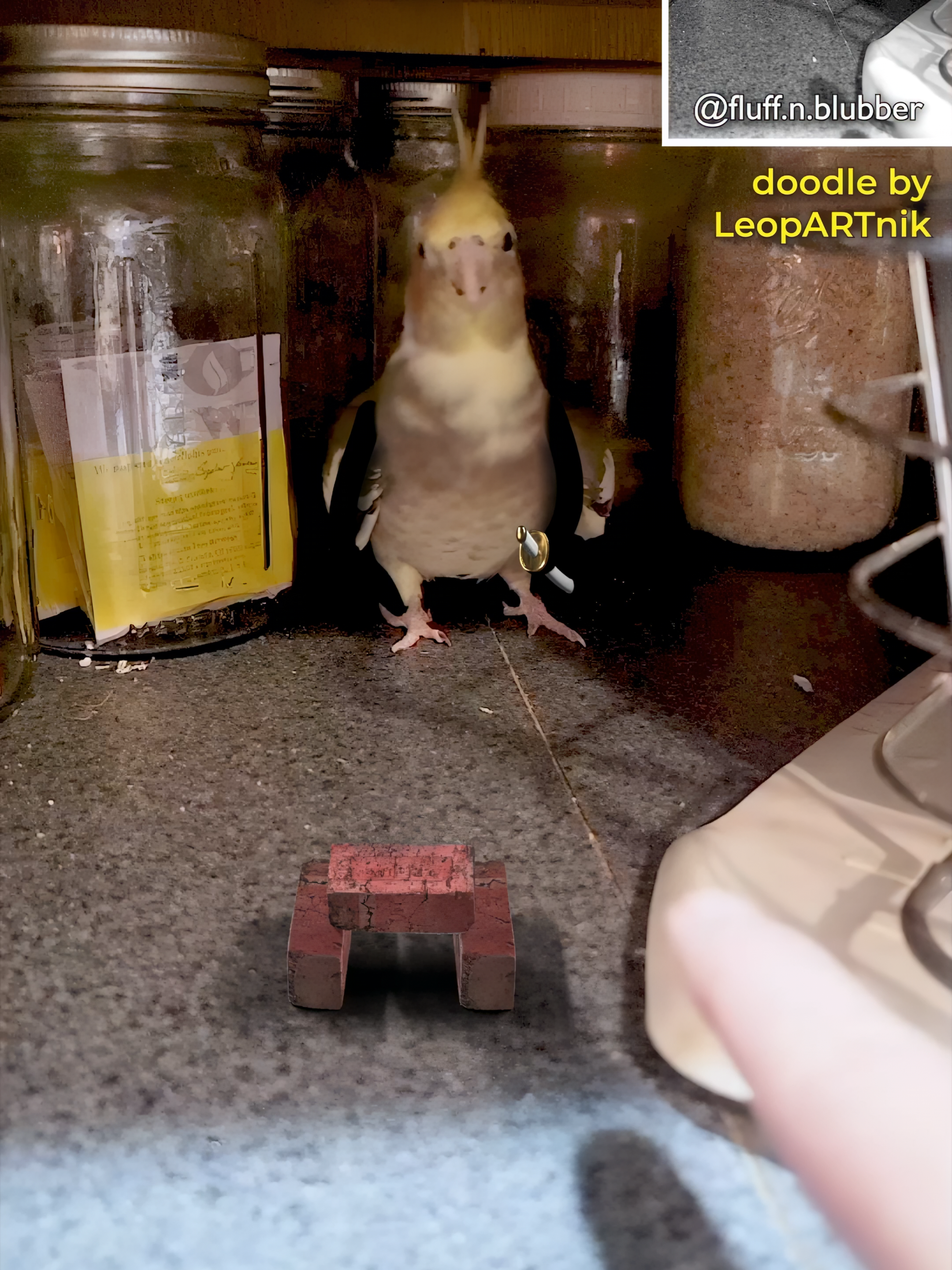 @LeopARTnik