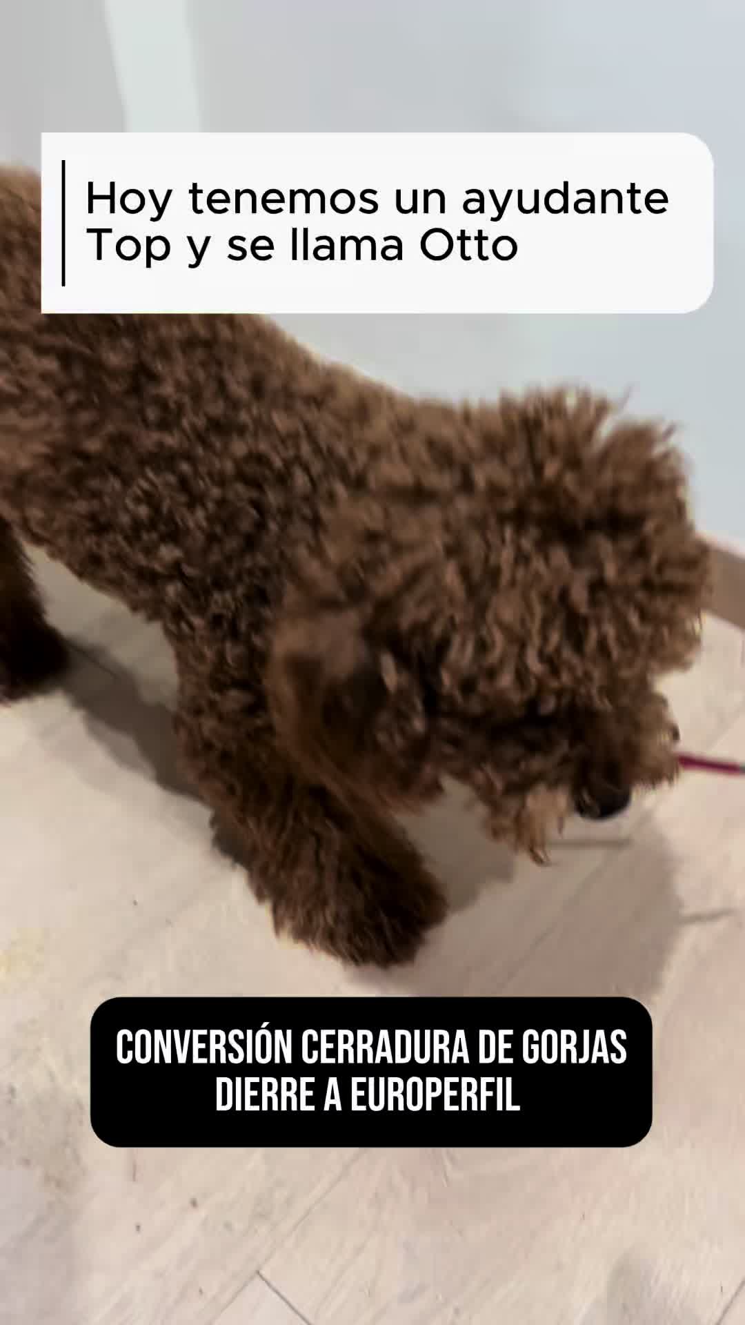 @Bruno Cerrajero
