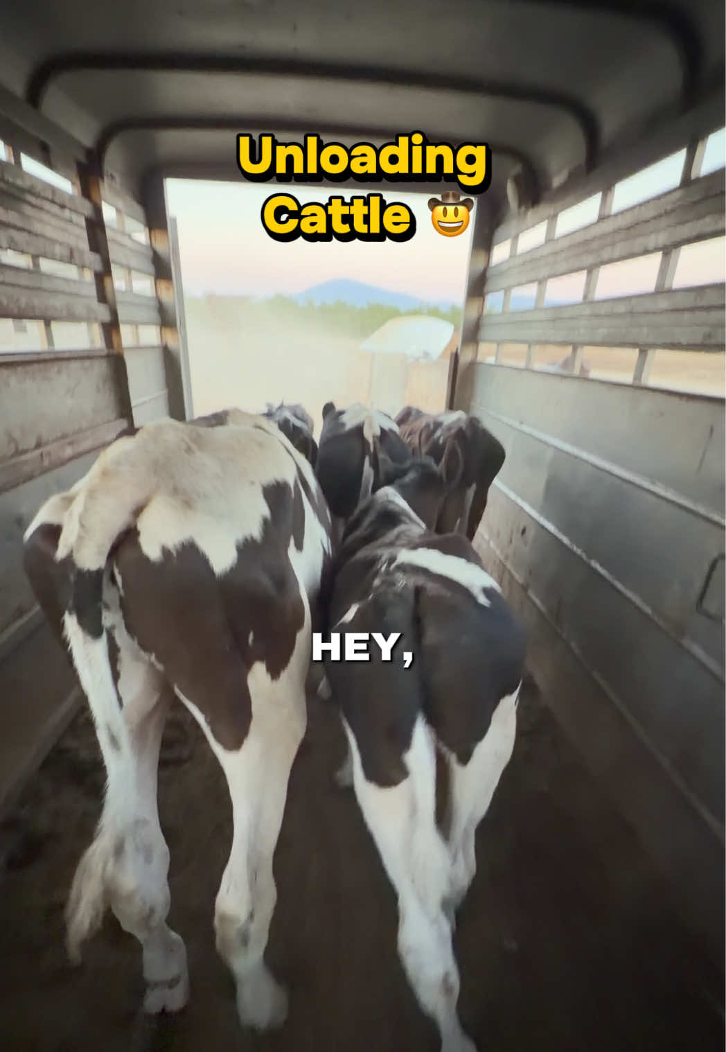 @Skylar Farming
