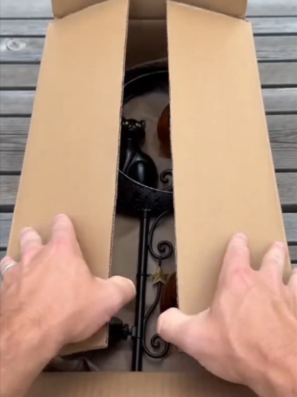 @Gwendolin