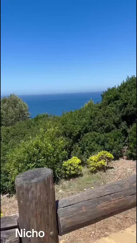 @gymfit