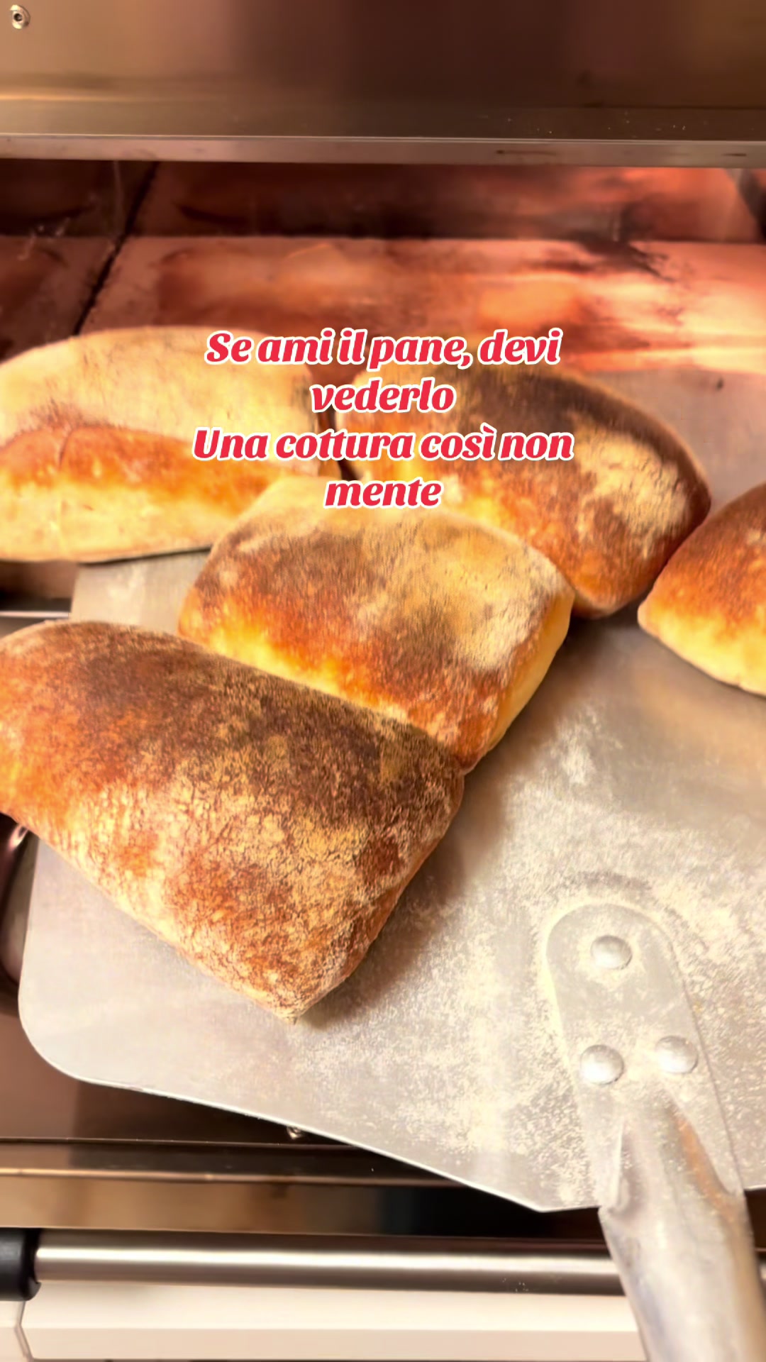 @animaincucina