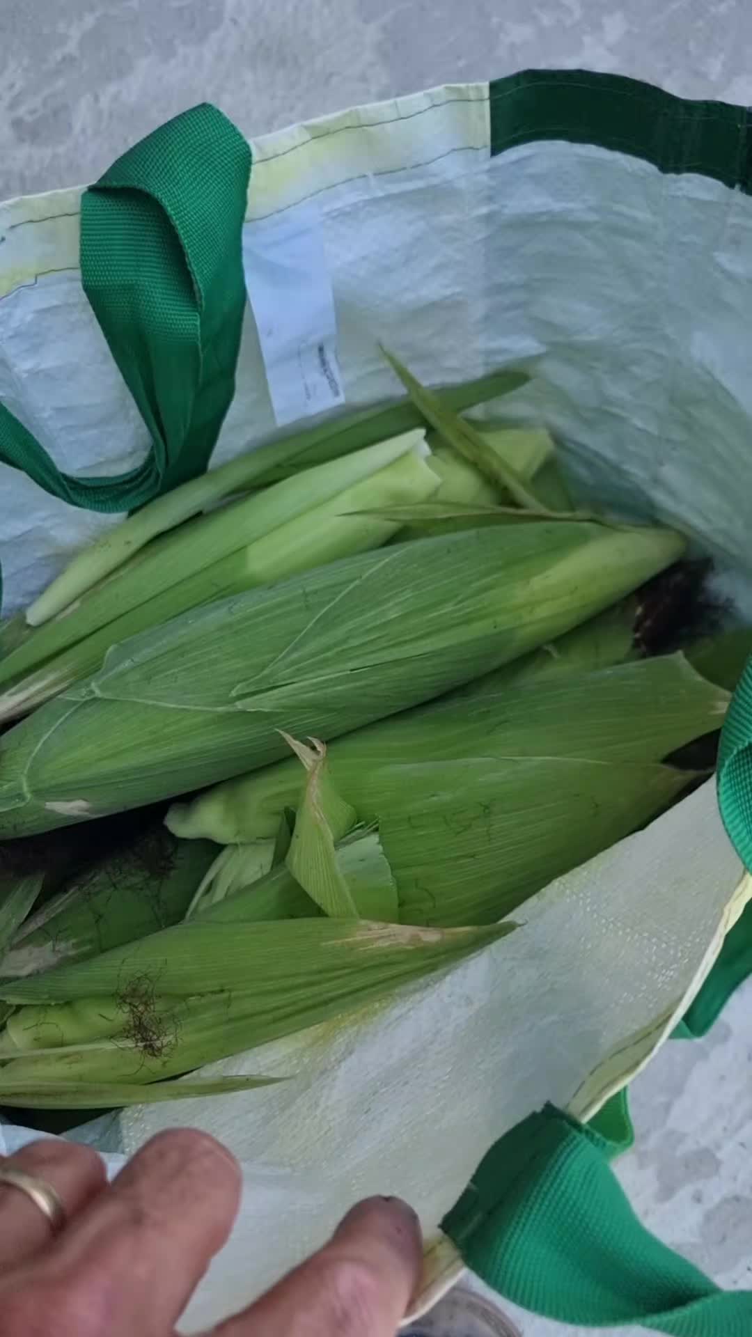 @Mitică