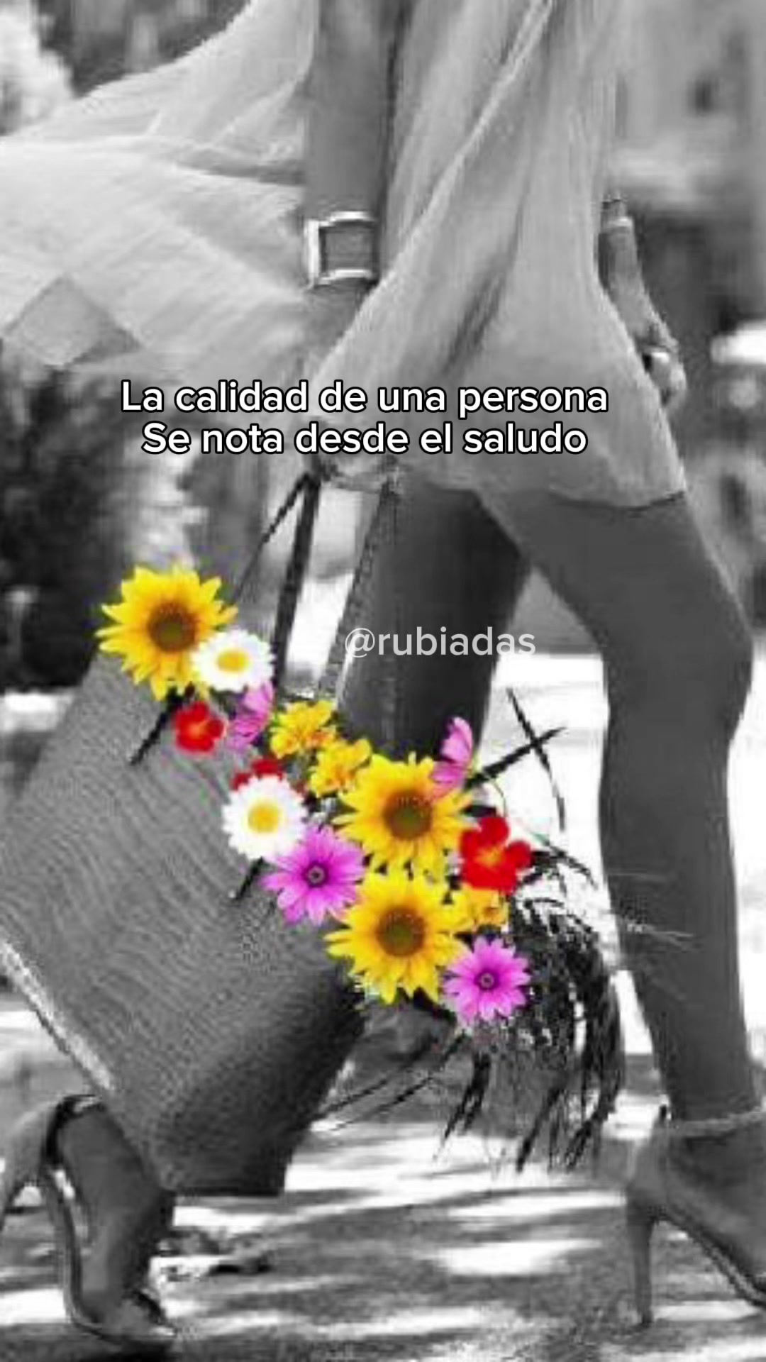 @Rubiadas