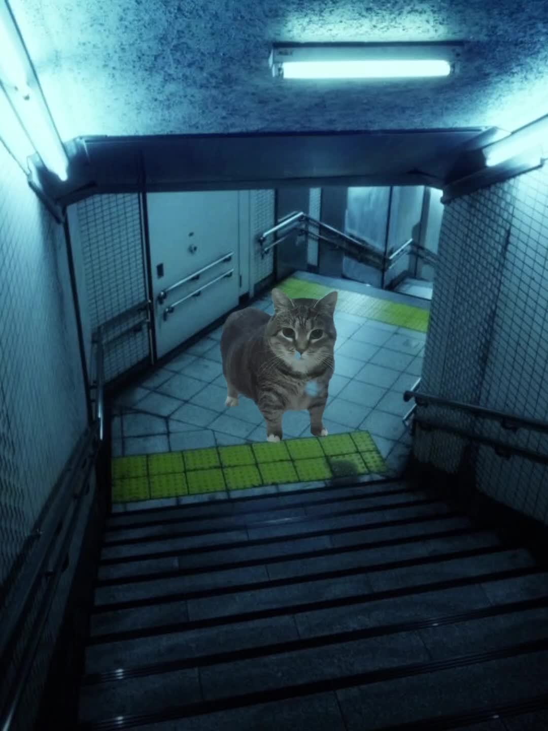 @Seasoned_Fries