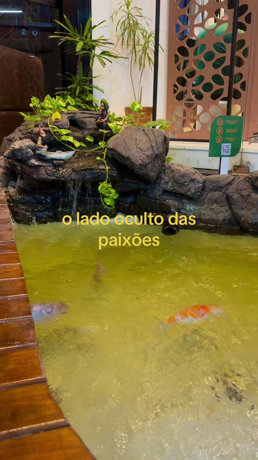 @Filipe 🎧 ♫ ⋆˙ ✦