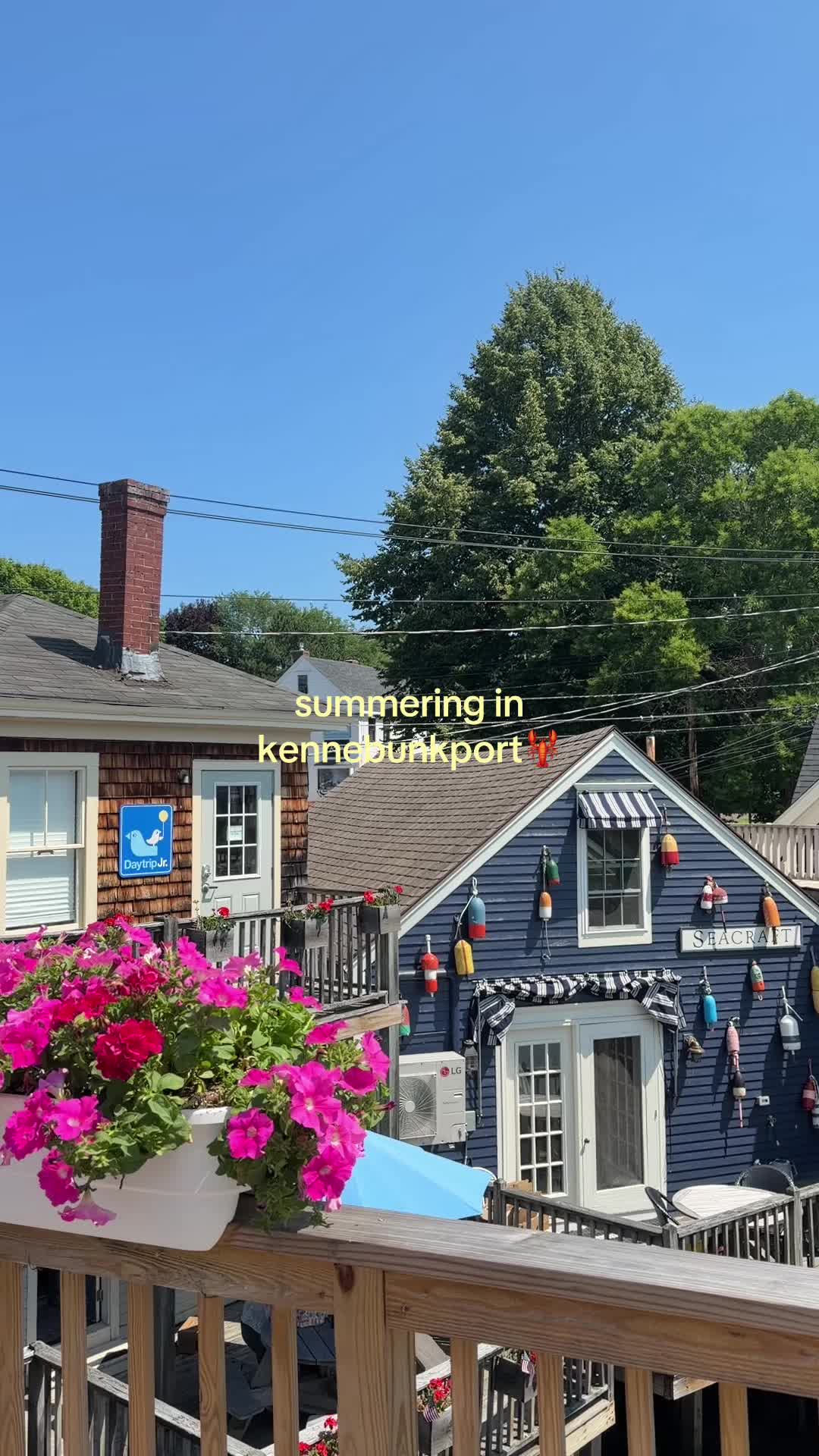 @Tara 🌼