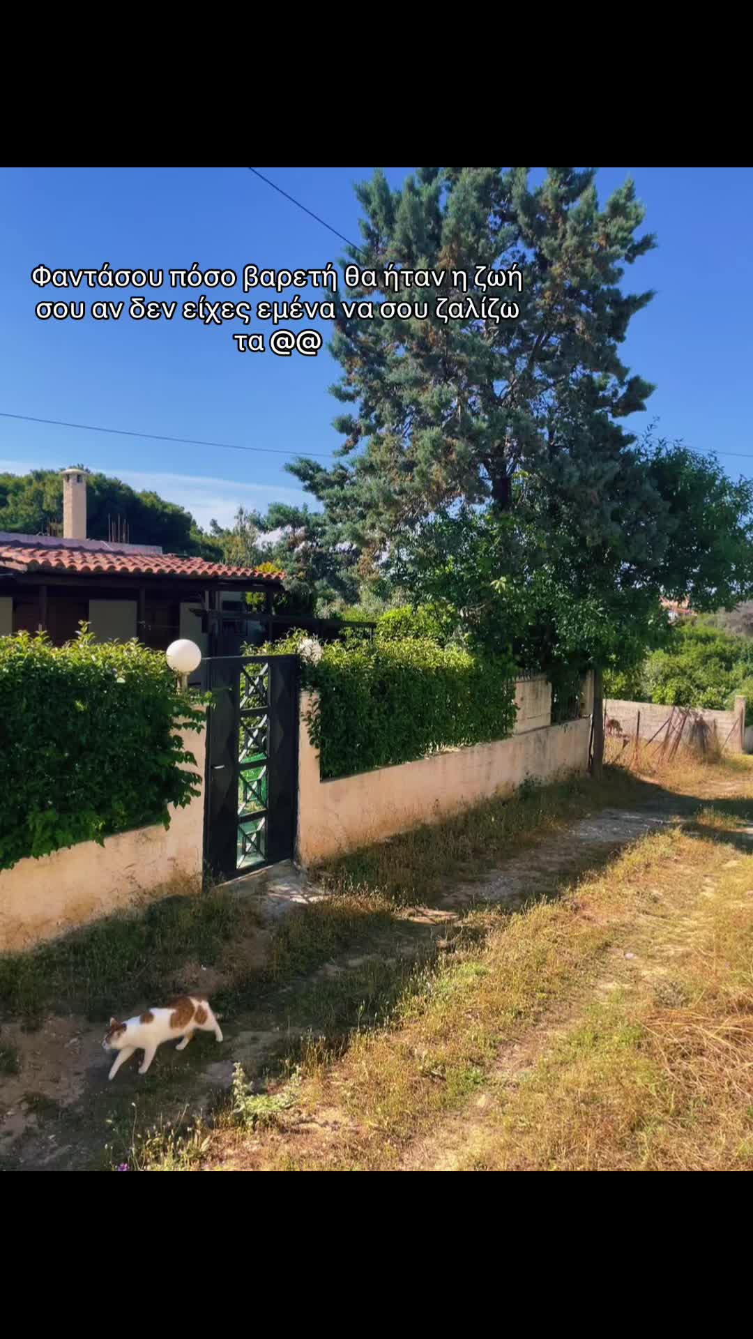 @Μαρίνα Μανδρέκα