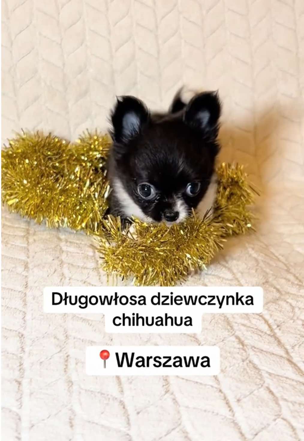 @Ulybki_lilu