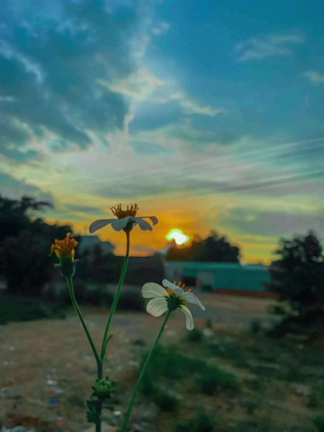 @Udaas Jokhio❣️