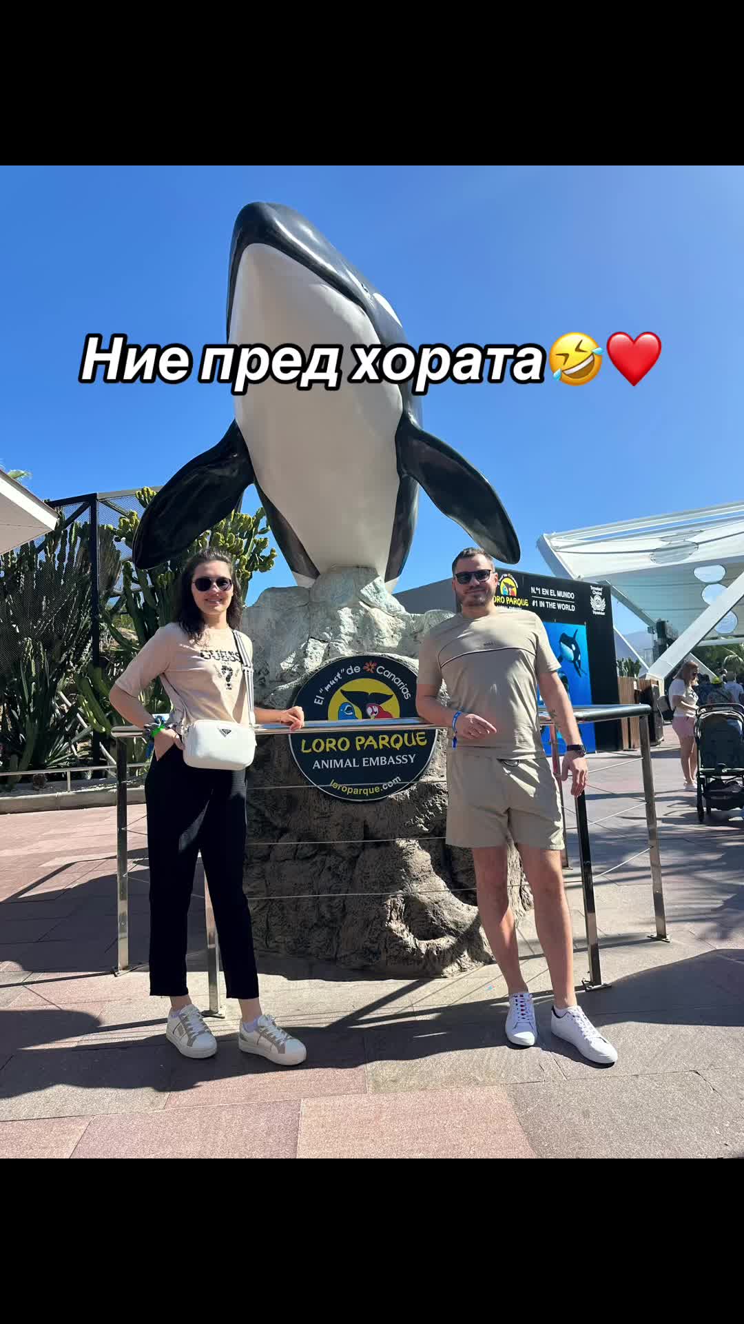 @d.dilovska