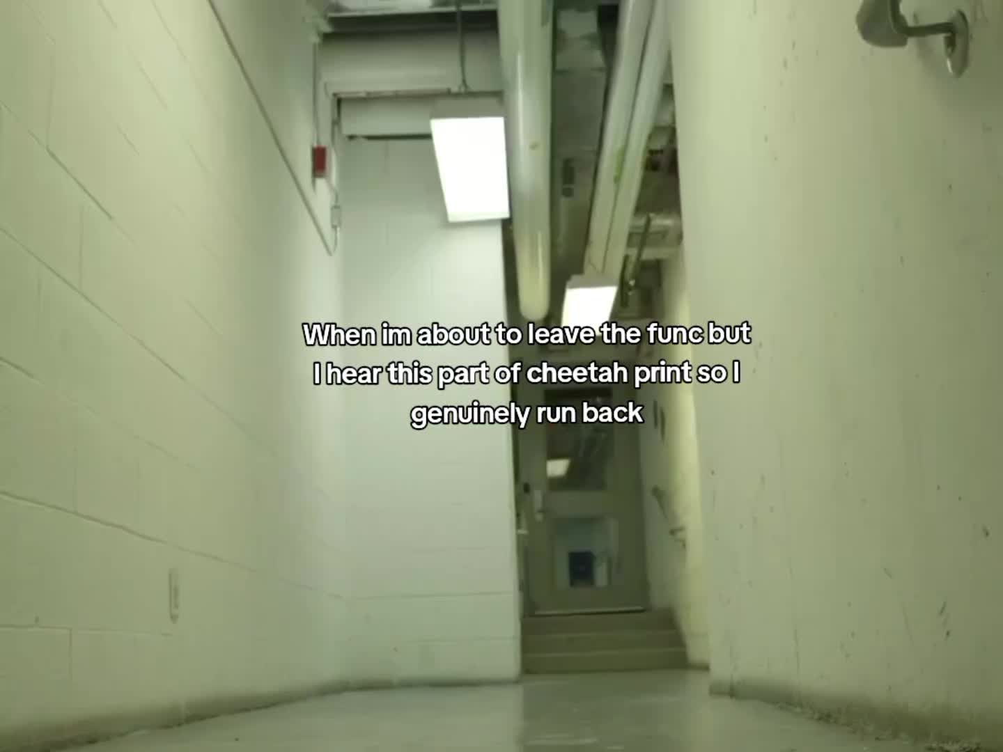 @rai