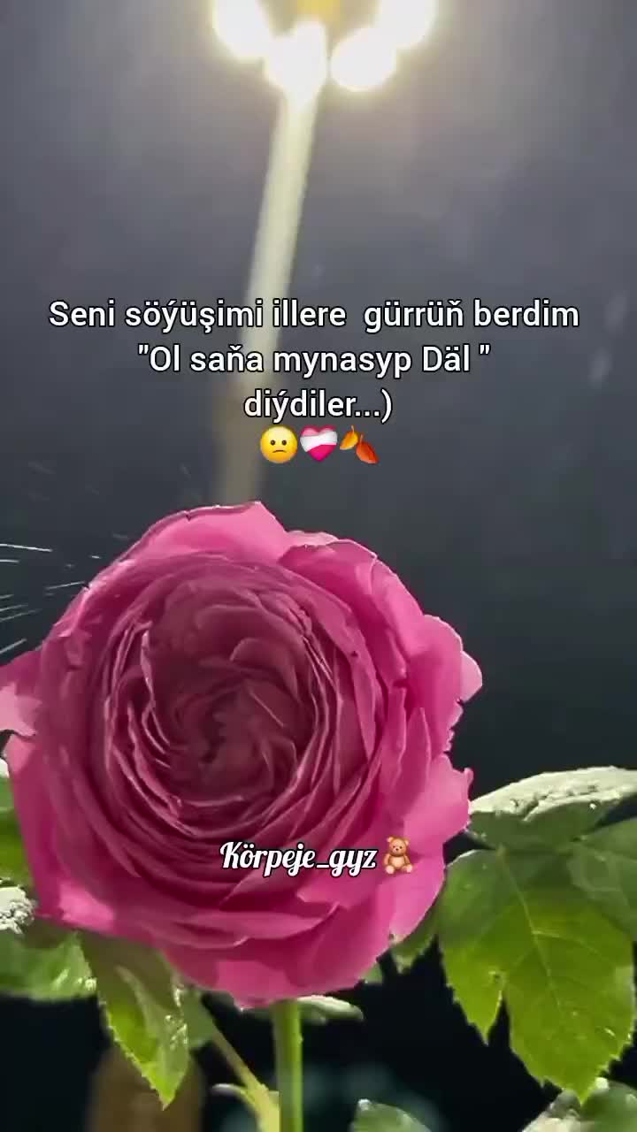 @Ꮶꭷꪲꮉꭾᥱꭻᥱ🎀ꮐꪩຊ