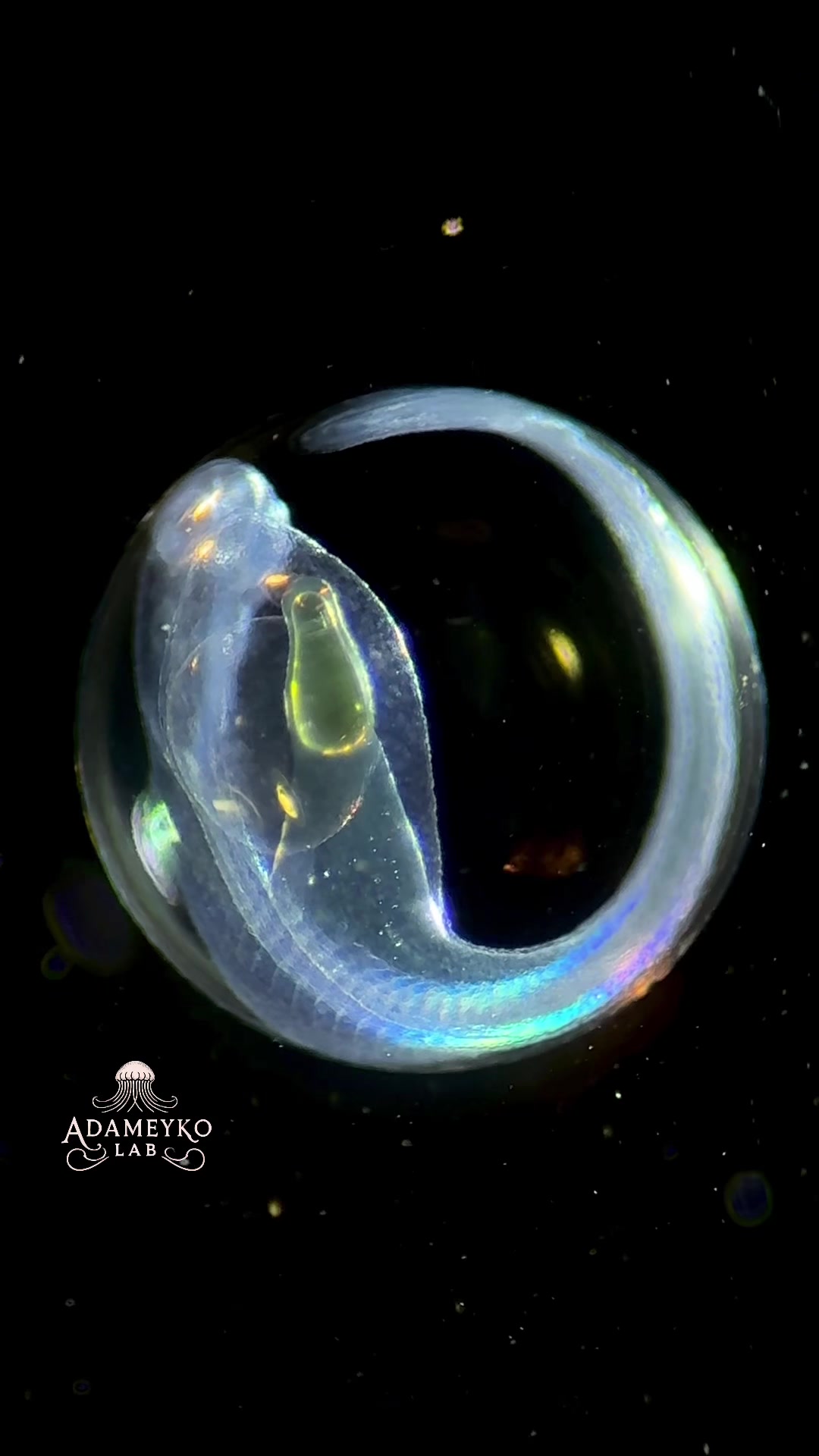 @The_story_of_a_biologist