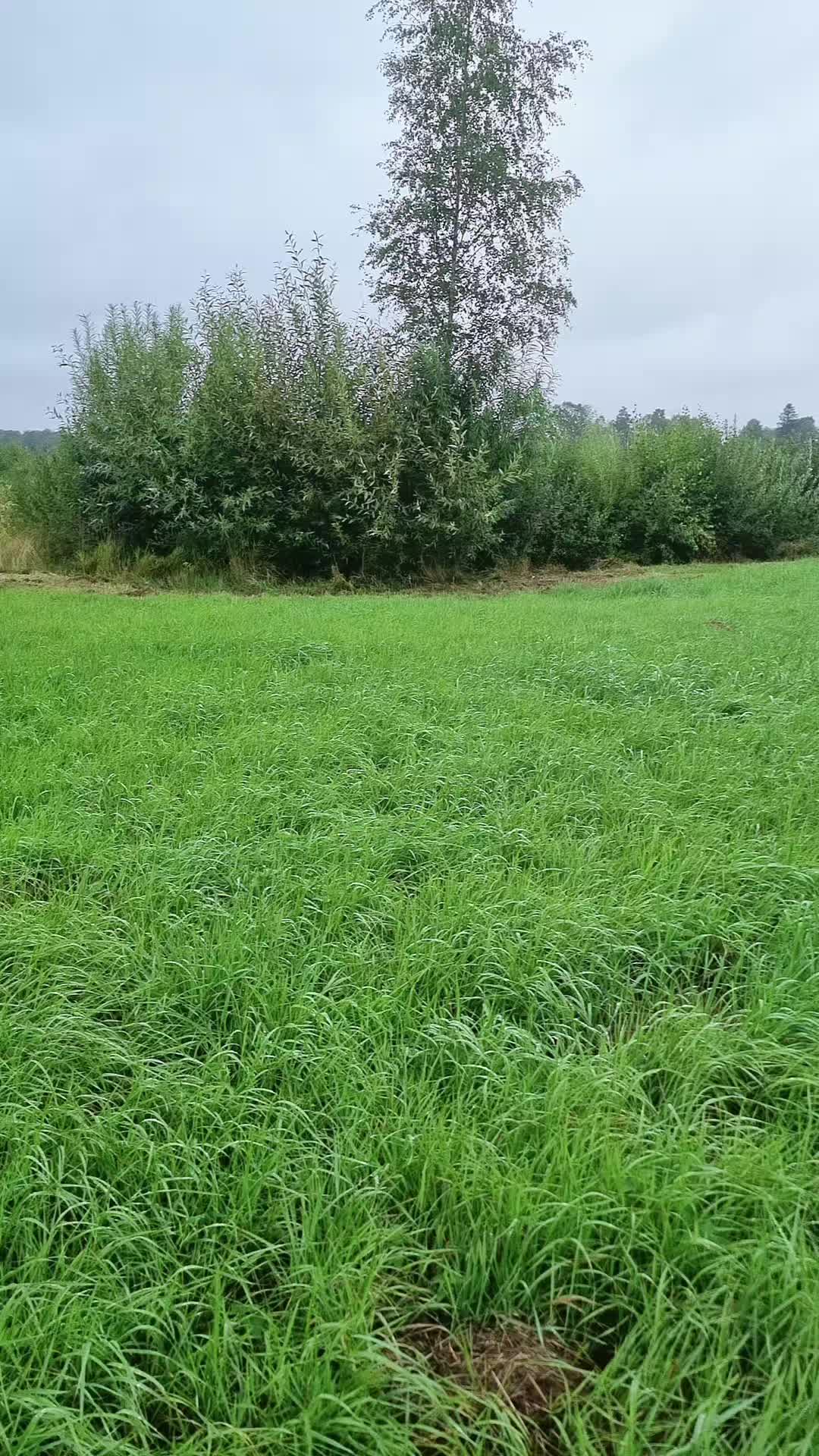 @Lantbruk är livet🚜🤠🌾