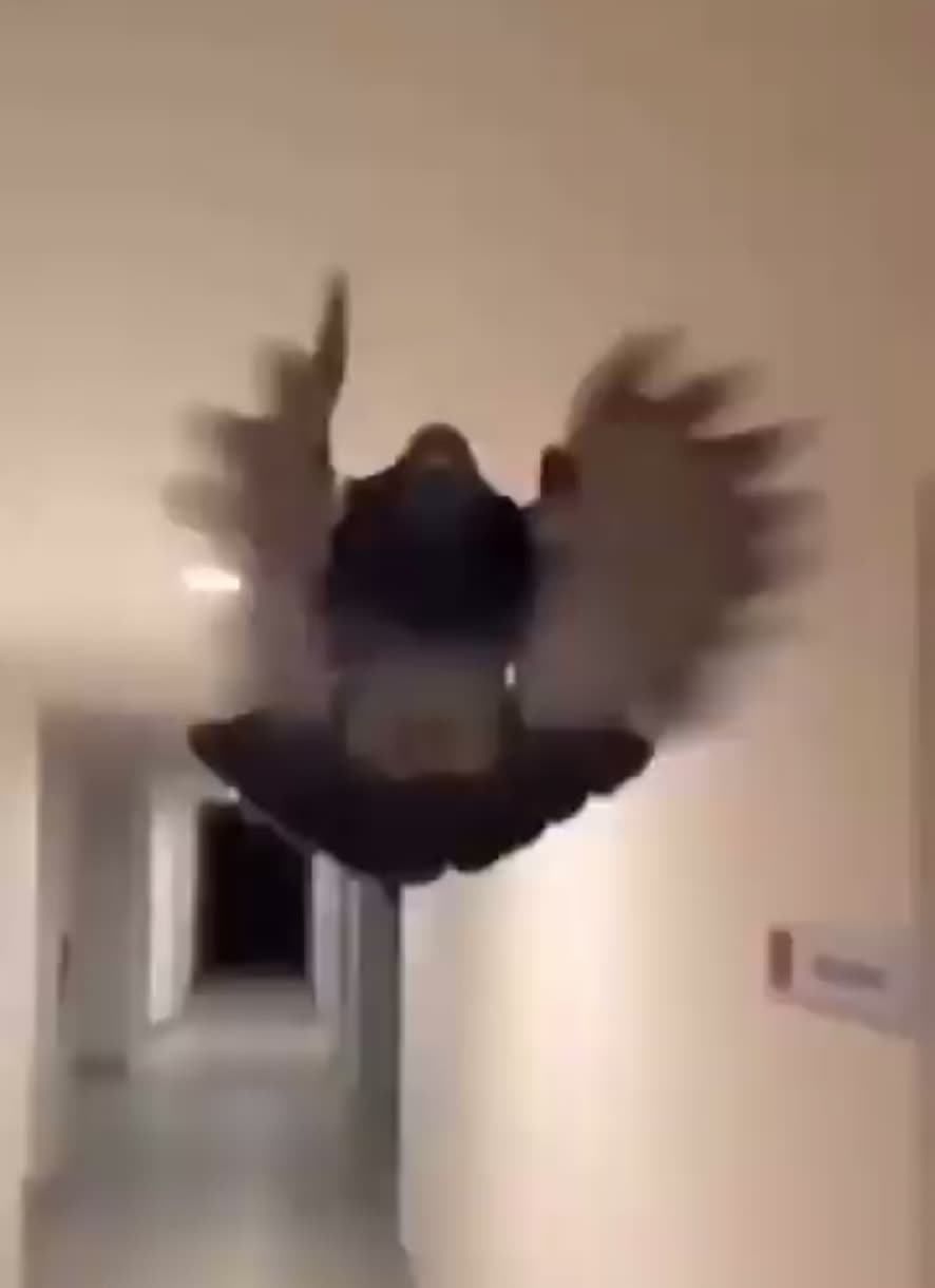 @Raven