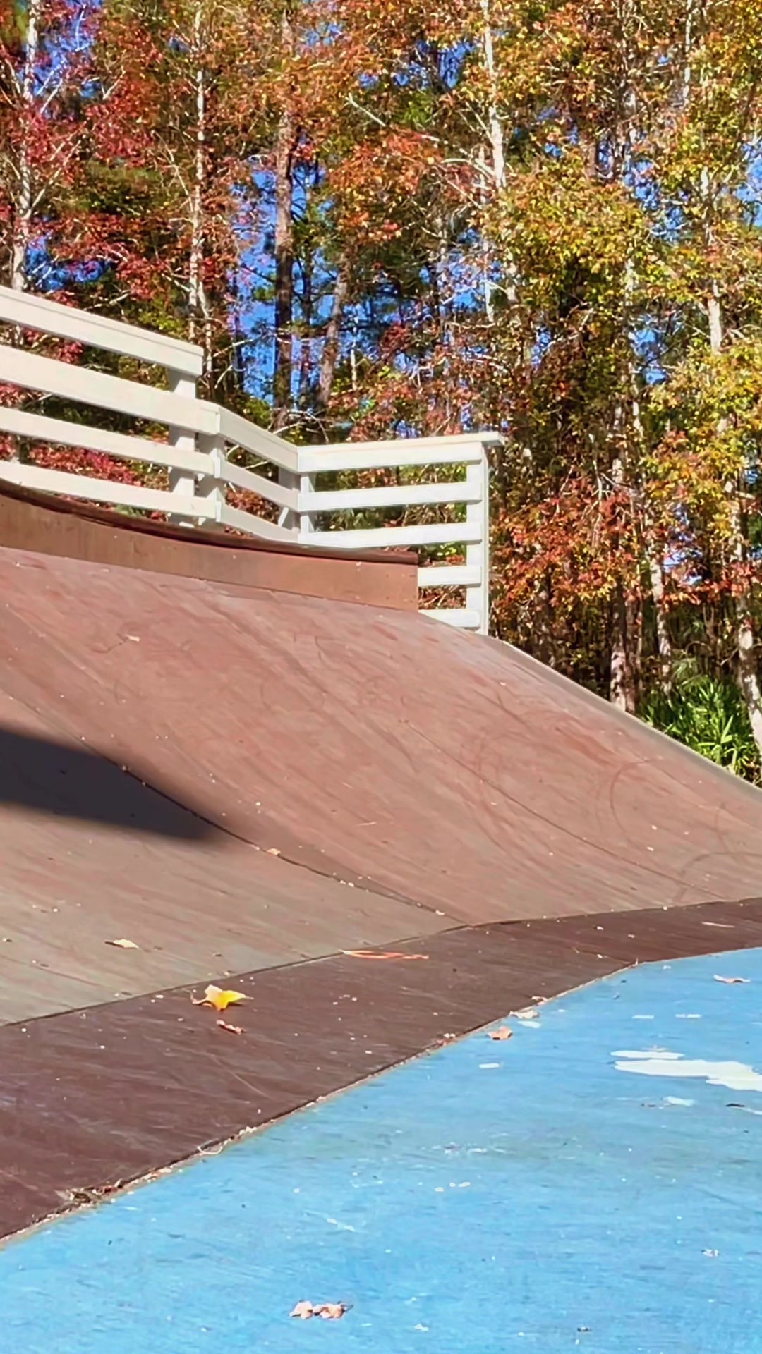 @Tim Sharp Sk8boarder
