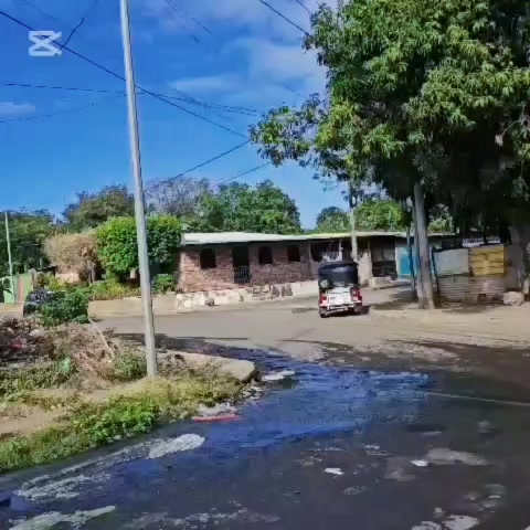 @Teresita Martínez😊