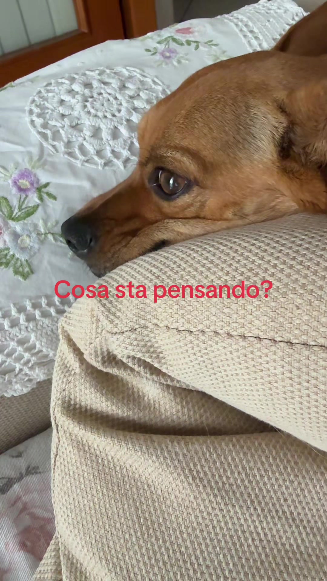 @Marghe Rita3