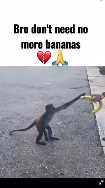 @BigMoneyBroke