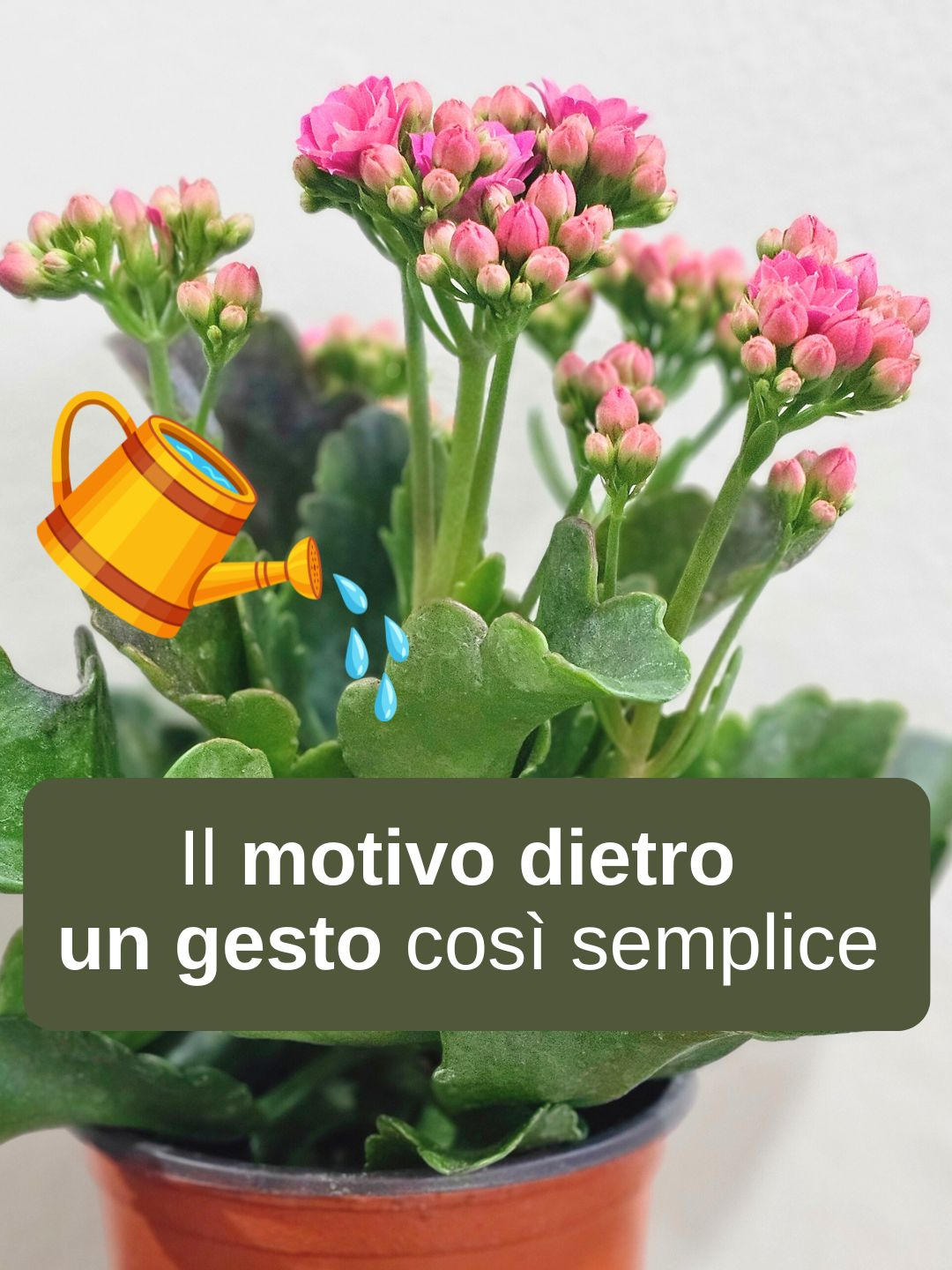 @elenabazzoli.doc