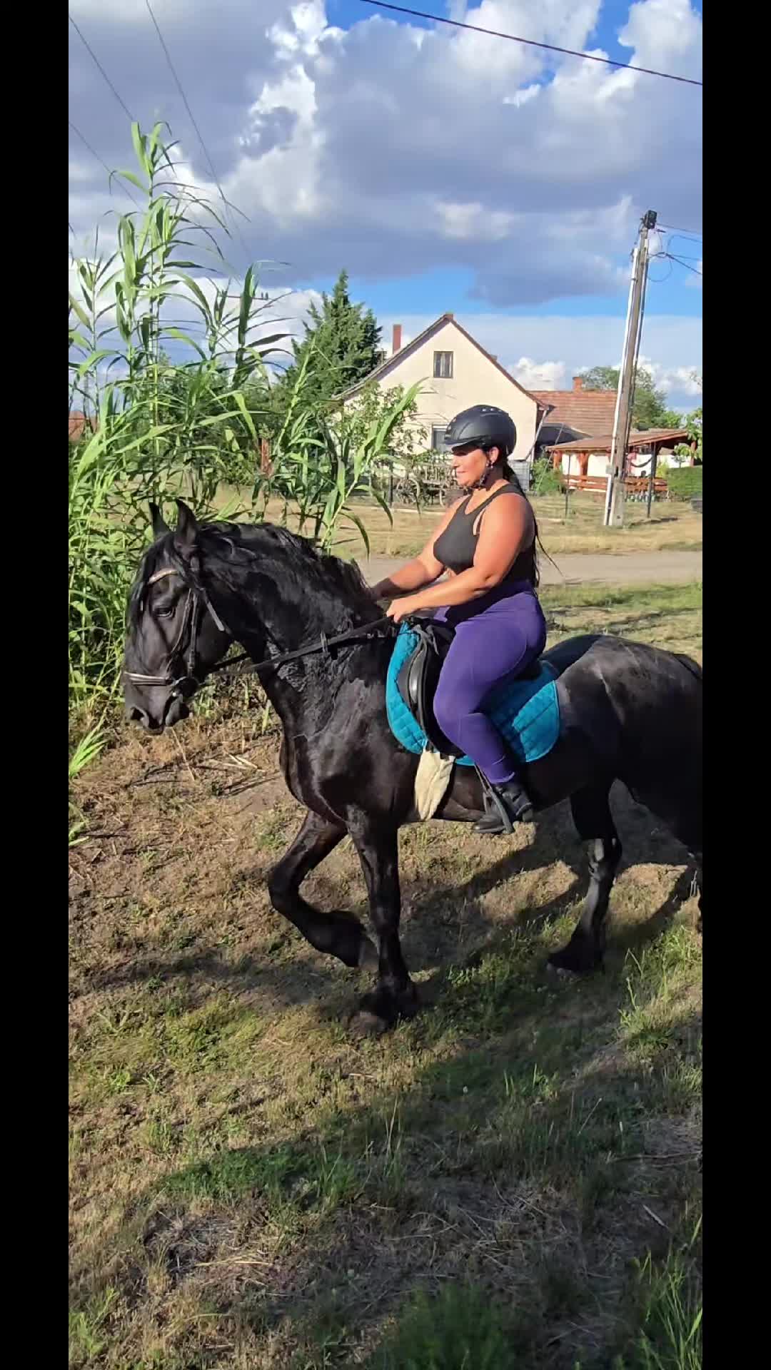 @꧁༒𝓔𝓻_𝓩𝓼𝓲𝓴𝓮༒꧂ 🪽🐶🐴888
