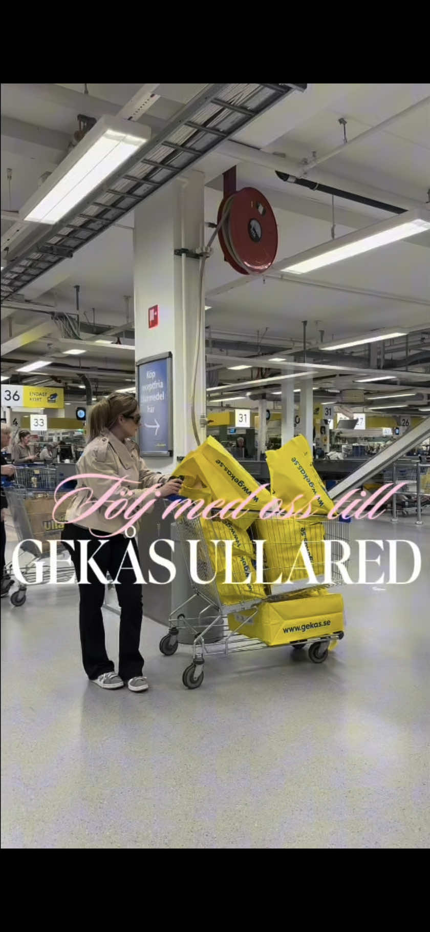 @ollebolle⚡️